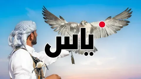 Yas TV cover Yas TV cover