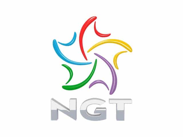 Rede NGT logo