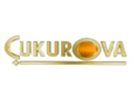 Çukurova logo
