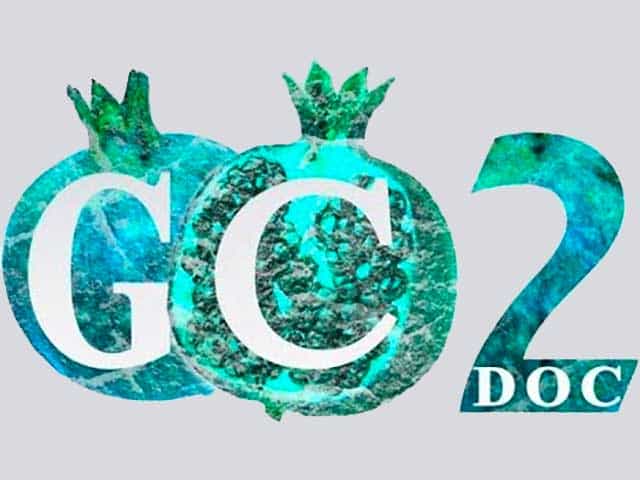 Granada Channel TV Canal 2 logo