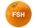 FSH logo