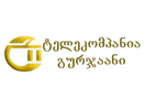 Gurjaani TV logo
