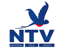NTV logo