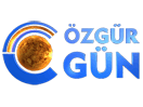 Özgür Gün TV logo