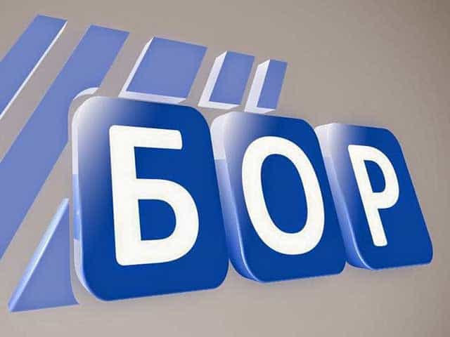 TV Bor logo