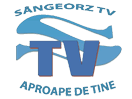 Sângeorz TV logo