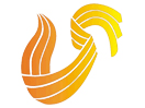 Shandong TV logo