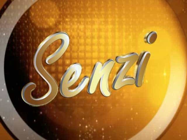 Senzi logo
