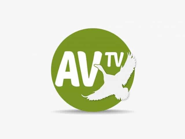 Av TV logo