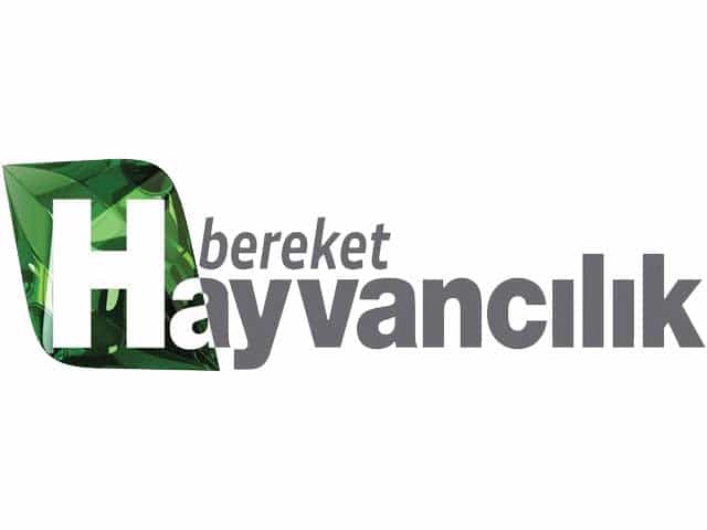 Bereket logo