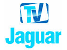 TV Jaguar logo