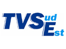 TV SudEst logo