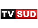 TV Sud logo