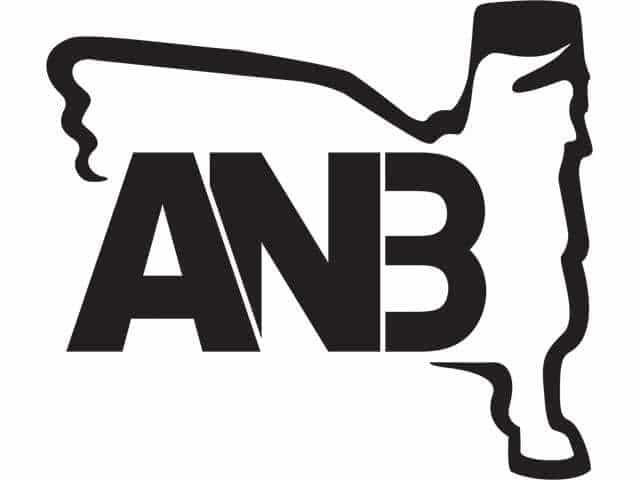 ANB SAT logo